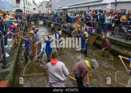 Fischertag (Fisher giorno): gli uomini e i ragazzi nel canale Stadtbach tentare di catturare un pesce (trota), Memmingen, Schwaben, Svevia, Baviera, Baviera, Germania Foto Stock