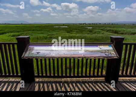 Parte della riserva naturale badia del fangar, delta del fiume Ebro, Spagna 2017 Foto Stock