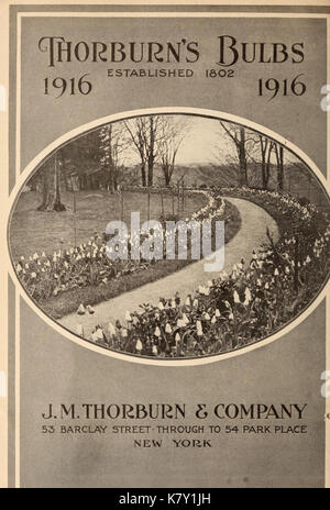 J.M. Thorburn e Co. annuale del catalogo descrittivo dei semi di fiori (15147356630) Foto Stock