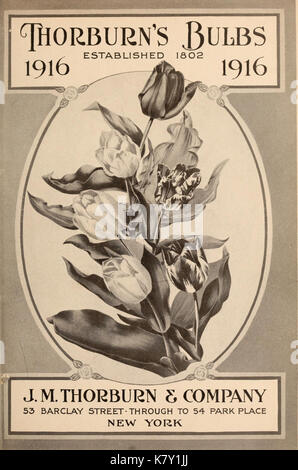 J.M. Thorburn e Co. annuale del catalogo descrittivo dei semi di fiori (15147303539) Foto Stock
