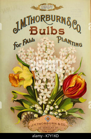 J.M. Thorburn e Co. annuale del catalogo descrittivo dei semi di fiori (15147476127) Foto Stock