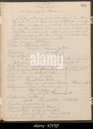 Journal, 1887 1890 (compreso) (pagina 181) BHL40346873 Foto Stock