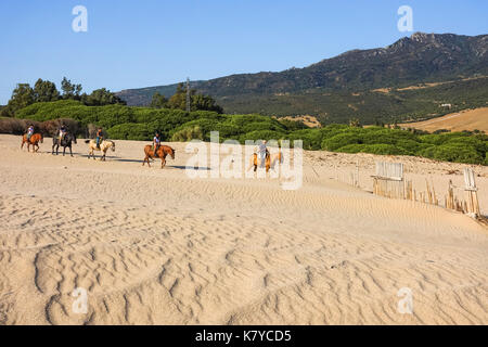 A cavallo tra le dune a Punta Paloma, Valdevaqueros, la spiaggia, la provincia di Cadiz Cadice, Costa de la Luz, Andalusia, Spagna Foto Stock