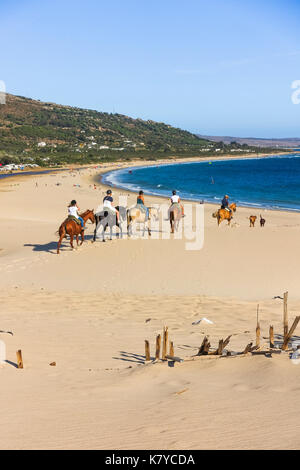 A cavallo tra le dune a Punta Paloma, Valdevaqueros, la spiaggia, la provincia di Cadiz Cadice, Costa de la Luz, Andalusia, Spagna Foto Stock