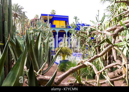 Il Giardino Majorelle è il più bel giardino paesaggistico della città. Marrakech, Marrakech-Safi. Il Marocco Foto Stock