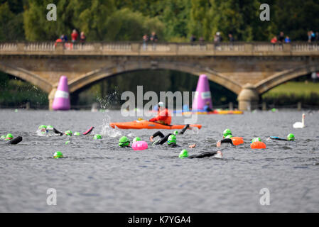 Nuotare a serpentina evento di nuoto nella serpentina, Hyde Park, Londra. Foto Stock