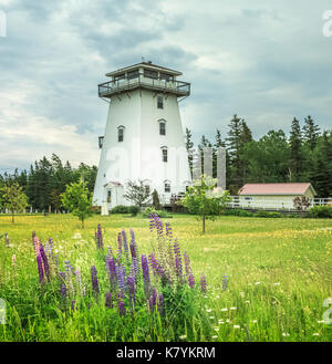 Faro in un campo selvaggio con i lupini in primo piano, rinnovato in alloggio vacanze Foto Stock