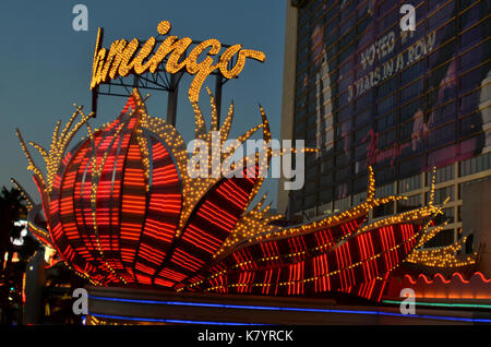 Illuminato segno flamingo a las vegas Foto Stock