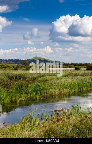 Glastonbury Tor visto dall'allagato torba lavorazioni che sono ora la RSPB Prosciutto Riserva di parete, Somerset, Inghilterra, Regno Unito Foto Stock