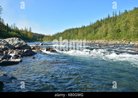 Le rapide su un fiume del nord. rapido paesaggio acqua nell'urali polari. Foto Stock