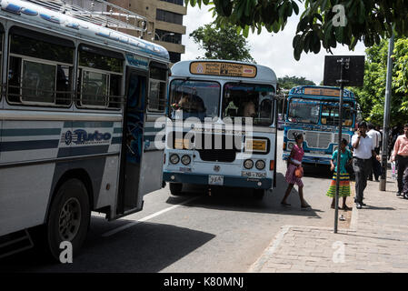 Il traffico sul bus in Colombo, Sri lanka Foto Stock