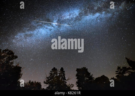 Shooting Star in tutta la via lattea cielo stellato sopra di sagome ad albero Foto Stock