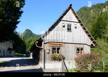 Wasserleitungsmuseum Wildalpen (Museo HochQuellenWasser) di 2. Wiener Hochquellenleitung (primavera in montagna (acqua) pipeline) Museo, Wildalpen, Hochst Foto Stock