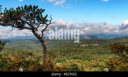 Flat rock trail si affacciano - Blue Ridge Mountain nonno Mountain State Park - escursioni fino al sasso piatto per una vista incredibile di montagne nc Foto Stock