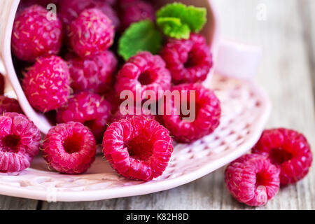 Fresche lamponi maturi in piccola tazza da tè Foto Stock