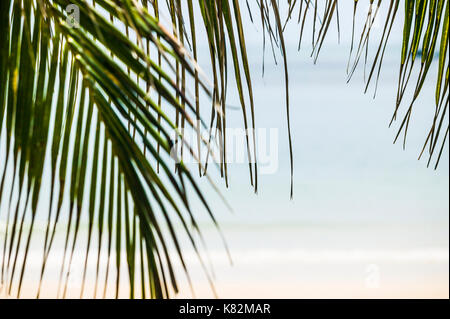 Guardando attraverso fronde di palme a rocce e mare al largo della costa di Ao Thang Nai Pan Noi su Koh Phangan / KoPha Ngan nel Golfo di Thailandia. Foto Stock