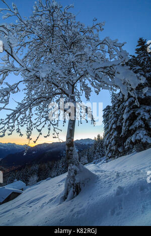 Luci dell'alba sulla coperta di neve di capanne e alberi tagliate di sopra di Gerola Alta Valtellina alpi Orobie lombardia italia Europa Foto Stock