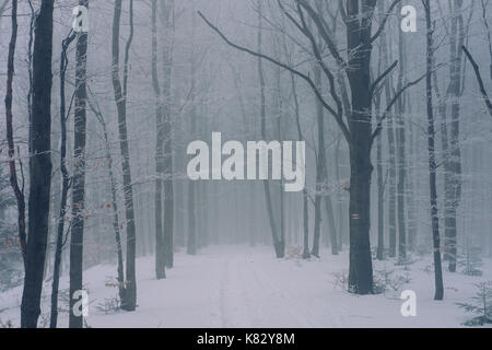 Paesaggio invernale in beskidy mountains, Slesia, Polonia Foto Stock