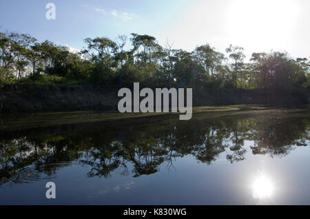 Un giorno nel pantanal Foto Stock