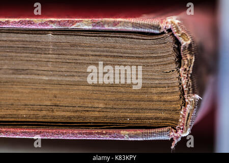 Close up di vecchi libri su uno scaffale. Foto Stock
