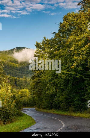 Tortuosa strada attraverso il bosco in montagna. incantevole scenario di trasporto nella campagna autunnale mattinata Foto Stock