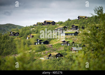 Case rurali nel Parco Nazionale di Hardangervidda, Norvegia, l'Europa. Foto Stock