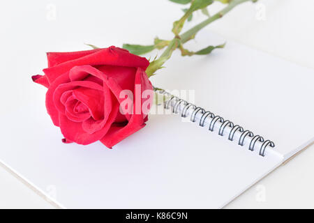 Red Rose e notebook isolati su sfondo bianco. Foto Stock