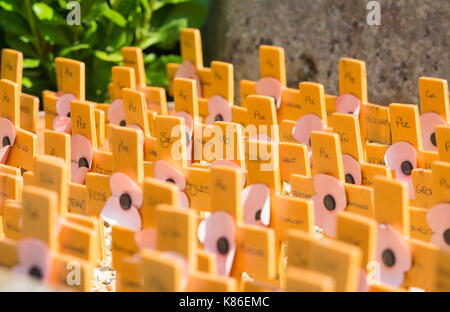 Attraversa per rappresentare coloro che sono morti in guerra, byt il memoriale di guerra in Arundel, West Sussex, in Inghilterra, Regno Unito. Foto Stock