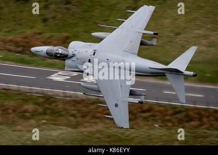 BAe Harrier GR9 ZD438 4Sqn Cottesmore basso livello Bwlch il Galles Centrale Foto Stock