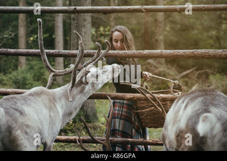 Caucasian pretty woman alimentazione di renne in eco farm. Foto Stock