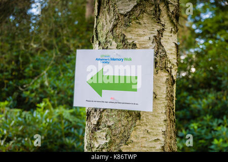 Tenuta reale di Sandringham, Norfolk. Cartello di Alzheimers Memory Walk sul sentiero. Foto Stock