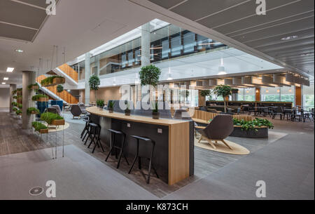 Atrium con area salotto. YOOX Net-a-porter uffici, Londra, Regno Unito. Architetto: Grimshaw, 2017. Foto Stock