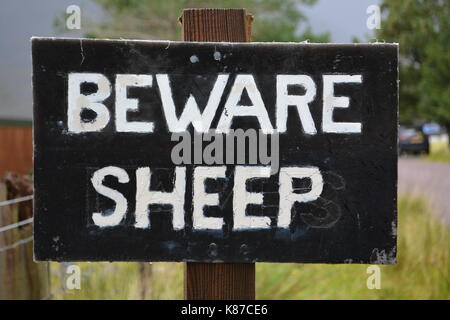 Attenzione di pecore fatto a mano scritte segno dipinto inchiodato al legno scuro post sul lato strada vicino a annat nelle Highlands della Scozia regno unito al di fuori della messa a fuoco lo sfondo Foto Stock