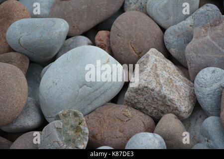 Raccolta di ciottoli di pietre e rocce sulla spiaggia di rosemarkie scozia uk vicino al punto chanonry Foto Stock