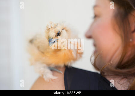 Una donna con un piccolo pulcino soffici uccello appollaiato sulla sua spalla. Foto Stock