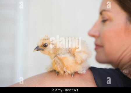 Una donna con un piccolo pulcino soffici uccello appollaiato sulla sua spalla. Foto Stock