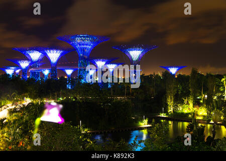 Singapore - 14 gennaio 2016: il paesaggio del supertree presso i giardini dalla baia di Marina Bay le luci della sera Foto Stock