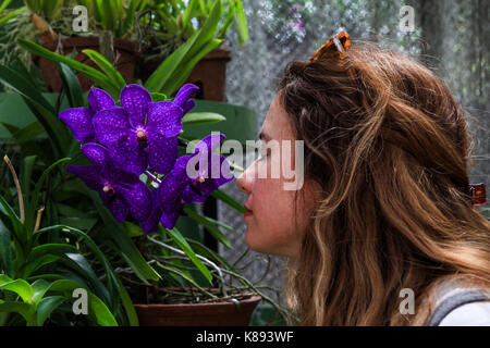 Una ragazza inala il profumo di fiori viola con gli occhi chiusi. Foto Stock