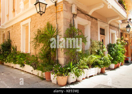 Piante in vasi per le strette stradine della città vecchia di Rethymno, Creta, Grecia Foto Stock