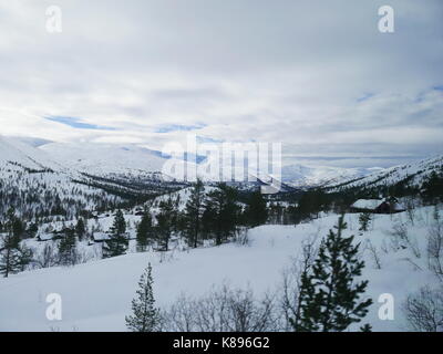 Casette di legno scandinave immerse in un bosco innevato. Una vista da una delle corse in treno più panoramiche del mondo: Da Oslo a Bergen (Norvegia) Foto Stock