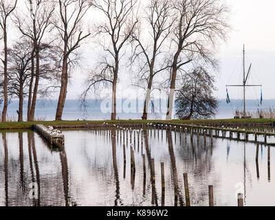 Bad Zwischenahn, Germania - 23 novembre 2016: autunno paesaggio nel parco pubblico del villaggio termale Foto Stock