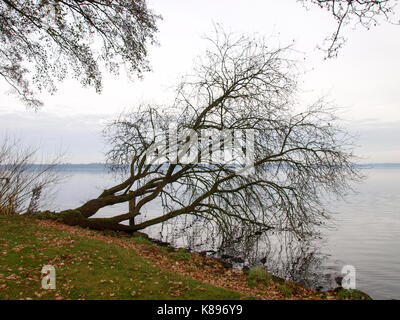 Bad Zwischenahn, Germania - 23 novembre 2016: autunno paesaggio nel parco pubblico del villaggio termale Foto Stock