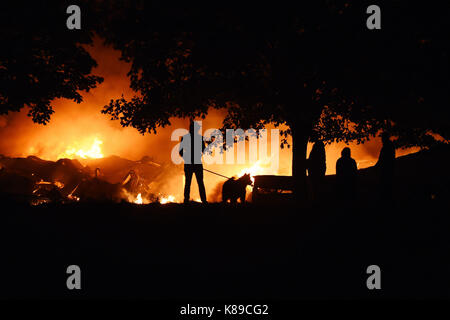 I vigili del fuoco combattono contro un warehouse che si schiaccia su White Hart Lane a Tottenham, Londra. Foto Stock