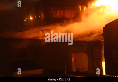 I vigili del fuoco combattono contro un warehouse che si schiaccia su White Hart Lane a Tottenham, Londra. Foto Stock