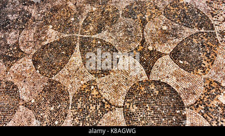 Impero romano pavimento a mosaico a ostia antica - ROMA - ITALIA Foto Stock