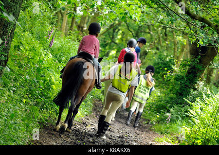 Un gruppo di piloti del Cavallino pony attraverso alcuni verde e rigoglioso bosco indossando elevata visibilità per i giubbotti di sicurezza quando a cavallo sulla strada. Foto Stock