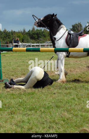 Una femmina che cade da un cavallo o da un pony dopo aver rifiutato un salto. Catturato a mezz'aria e anche a terra che ancora tiene le redini. Och! Foto Stock