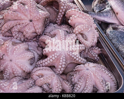 Octopus per la vendita di marsaxlokk è un tradizionale villaggio di pescatori situato nella parte sud-orientale di Malta. Foto Stock