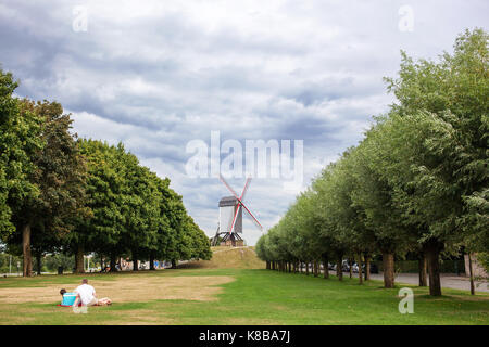 Sint janshuismolen mulino a vento Foto Stock