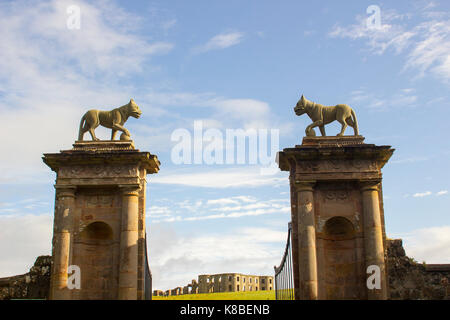 Sculture di leoni in cima ai porticciolo in pietra all'ingresso della porta di Bishop a Mussenden, sulla costa settentrionale dell'Irlanda del Nord Foto Stock